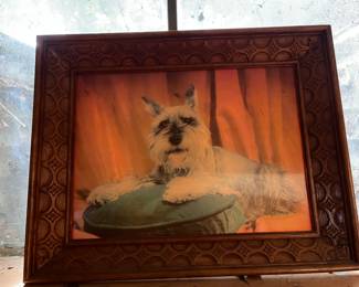 Vintage lenticular hologram of schnauzer