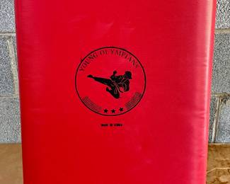 YOUNG OLYMPIANS KICK SHIELD/PAD
