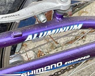 SCHWINN GS 25 BIKE W/HELMET