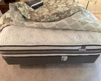 Queen Size Mid-Century Headboard with iSeries Queen Mattress (Excellent Condition)