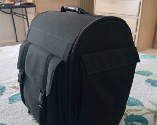 Harley-Davidson marked sissy bar storage bag