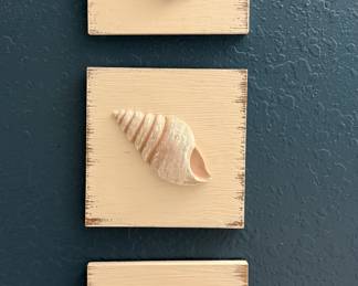 Shell Wall Art