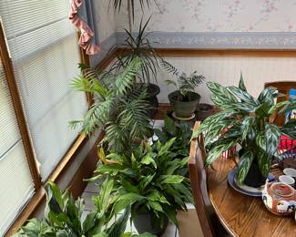 plants, plants, and more plants. Greenthumb people live here