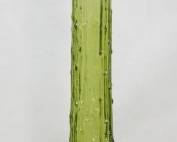 9537 - Empoli Green 22" Tall Decanter