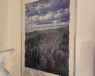 Framed Pictures