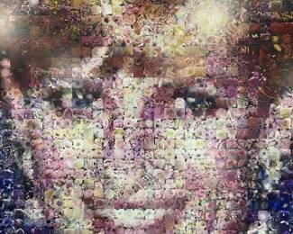 Framed Princess Diana Photomosaic Print