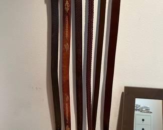 Assortment of Belts