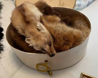 Mink Pelts
