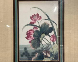 After Buchoz Chinese Red Water Lily Lithograph