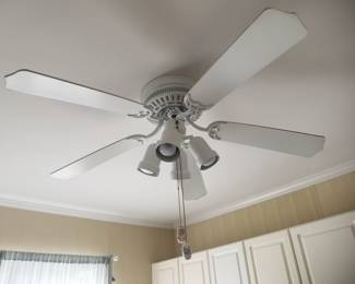 Illuminated ceiling fan