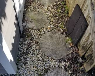 Scallop stepping stones - 12 available