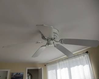 Ceiling fan