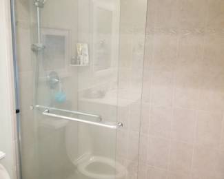 Glass shower doors