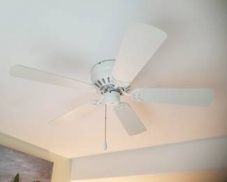 MinkaAire ceiling fan with remote
