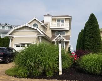 Plants; pavers