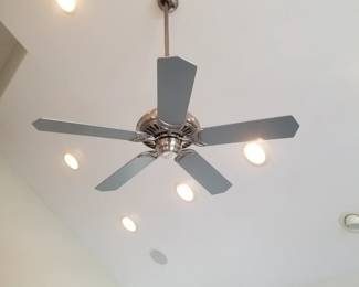 Ceiling fan
