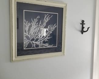 Coral graphic