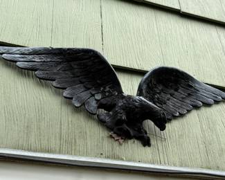 Iron Eagle Wall Plaque