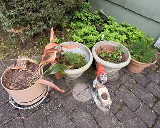 Garden Pots