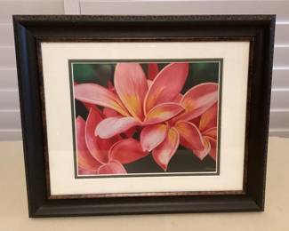 MMS074 Framed Pink Plumerias Picture 