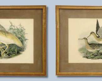 John Gould, British, 1804-1881. Two late 19th century lithographs on paper with hand coloring from Gould's "Birds of Great Britain" 1862-1873. Includes one of an Upland Sandpiper titled "Actiturus Bartramius" and another of a Squacco Heron titled "Buphus Comatus". Printed "J. Gould & W. Hart del et lith" and "J. Gould & H.C. Richter del et lith" lower left and "Walter, Imp." lower right. Some toning and foxing, Buphus Comatus paper with cuts to bottom, mats with discoloration, not examined out of frames. Images 19 3/4 x 13 3/4" high, in softwood frames with wear, 27 3/4 x 21 3/4" high overall.