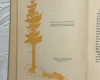 Inside pages of Heidi by Johanna Spyri, hardcover, gift edition, published in 1919 by J. B. Lippincott Company