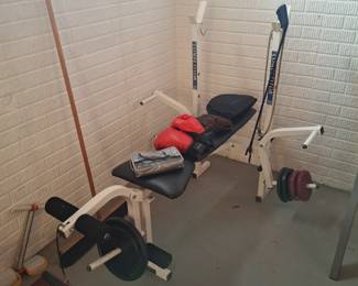 Weight Bench w/Plate Weights!