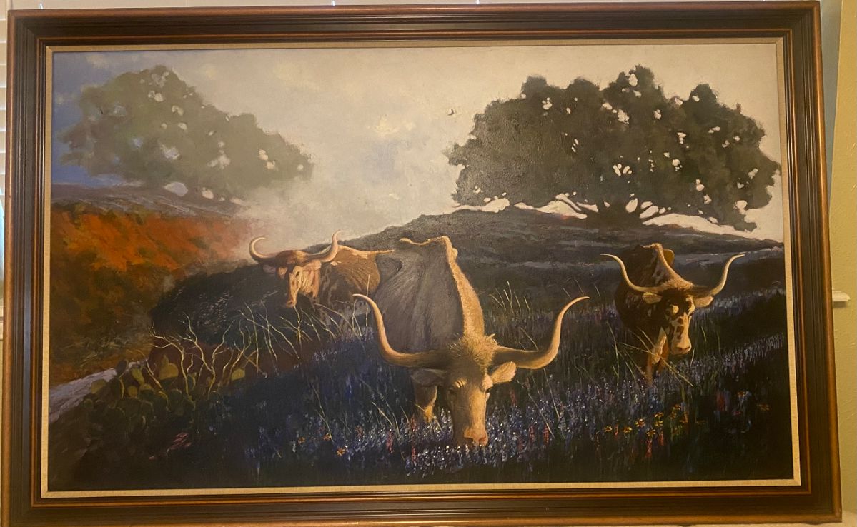 Stunning oil painting by local Texas artist David Herriott
Texas Longhorns in a field of Bluebonnets
Large - 66 in x 42 in