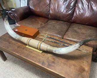 Longhorn mounted horn