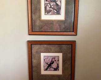 Framed Bird Pictures