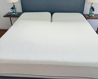 Sleep Number Very Smart ! Complete / 2 controls