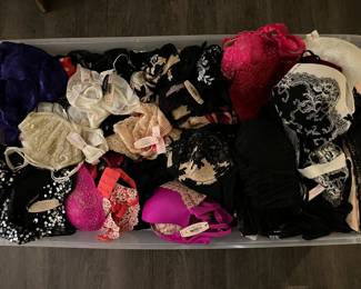 NWT lingerie - items have never been worn.