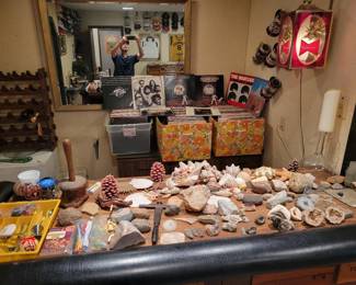 Crystals, rocks & shells.