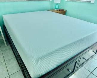 Queen Zinuz Mattress/Storage Bed