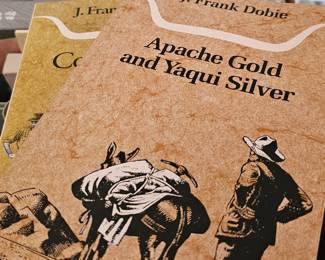 lots of Texas inspired books
