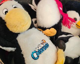 Pinguins