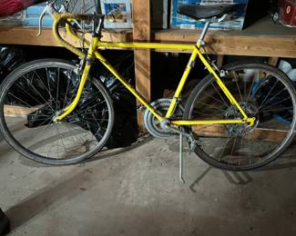 Boys 10 speed Schwinn bicycle