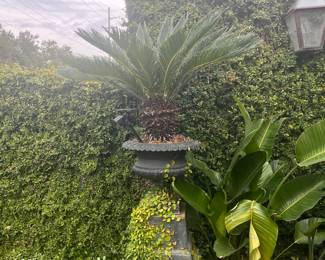Pair of early iron planters