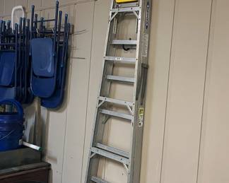 10’ metal ladder