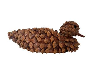 Unique pinecone Duck!