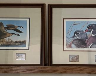 Duck Collection