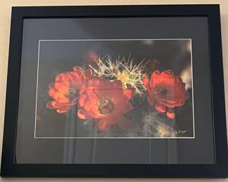Art Photography
