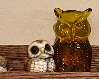 Owl Collection