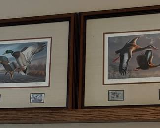 Duck Collection