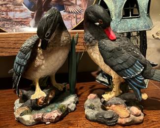 Duck Collection