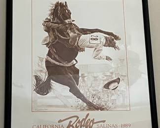 Art Salinas Rodeo