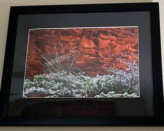 Art Photography