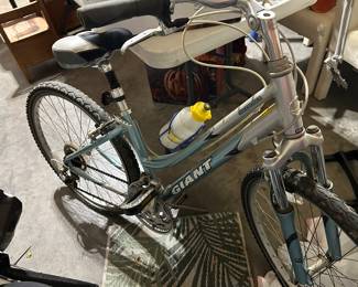 Giant bike