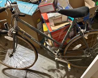 Schwinn bike
