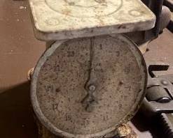 Antique baby scale